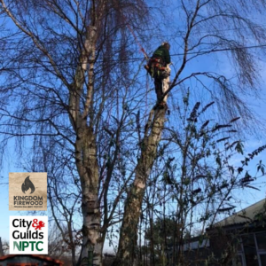 Tree Services - all aspects of tree and hedge work